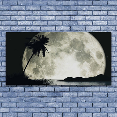Akril üveg kép Éjszakai hold táj Palm