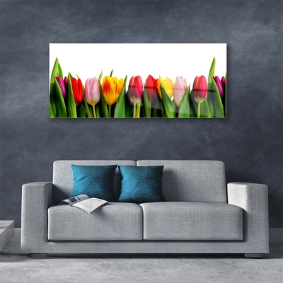 Akrilkép üzem tulipán