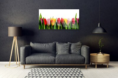 Akrilkép üzem tulipán
