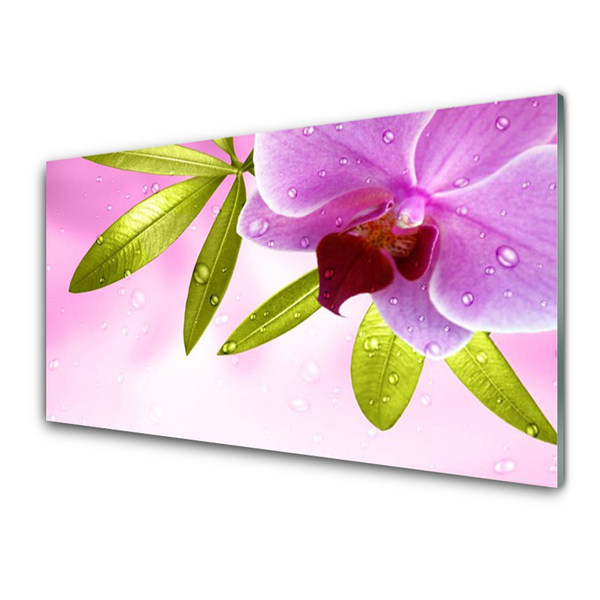 Akril üveg kép Virág növény levelei