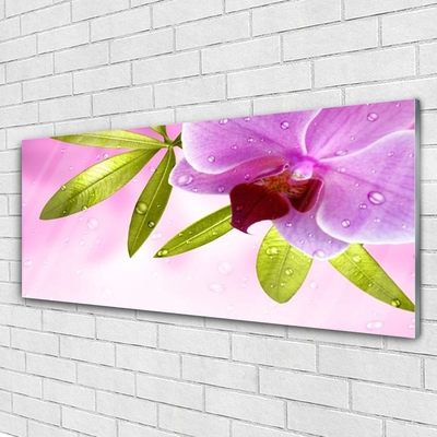 Akril üveg kép Virág növény levelei