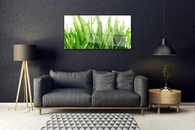 Akrilüveg fotó fű növény