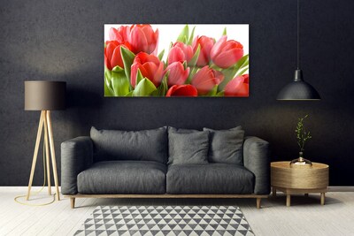 Akrilkép Tulipán virágok Plant