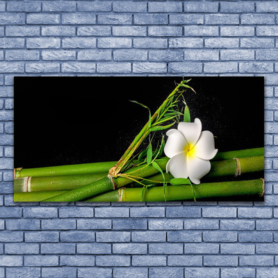 Akril üveg kép Bamboo Virág Plant