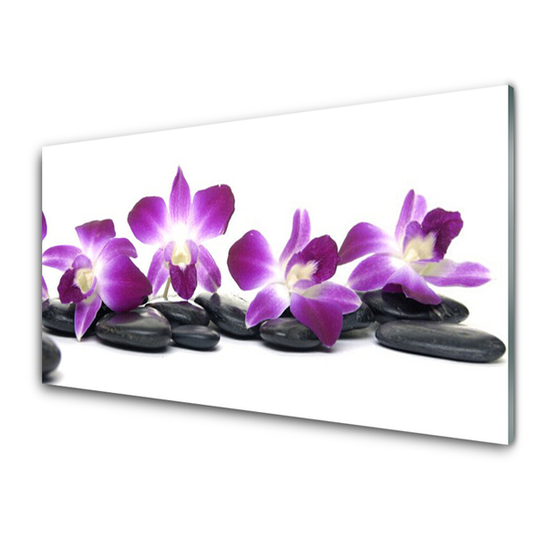 Akrilkép Orchidea virág Spa