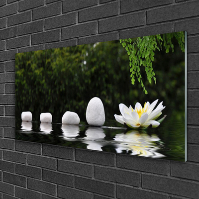 Akril üveg kép Lotus Flower Tavirózsa