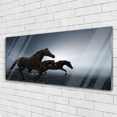 Akril üveg kép lovak Állatok
