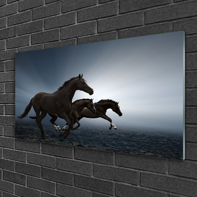 Akril üveg kép lovak Állatok
