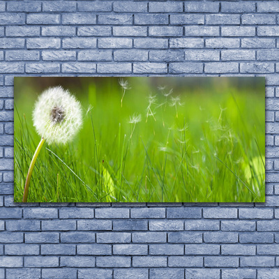 Akrilkép Dandelion Grass Plant