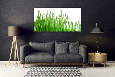 Akrilkép Grass Nature Plant