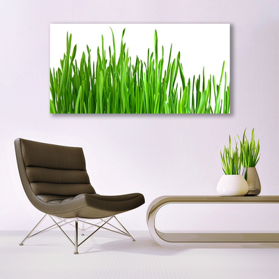 Akrilkép Grass Nature Plant