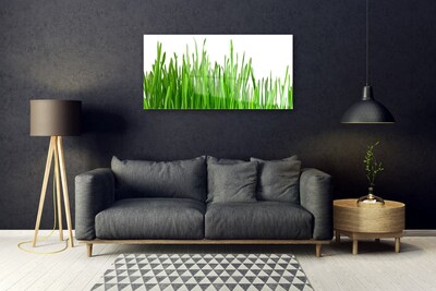 Akrilkép Grass Nature Plant