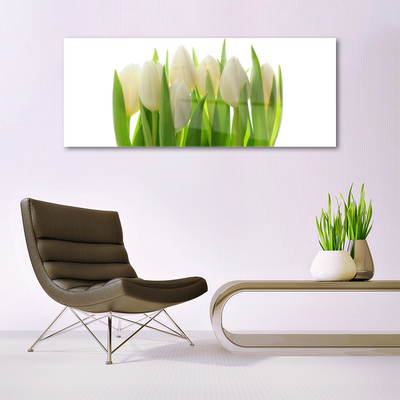 Akrilkép Plant tulipánok Természet