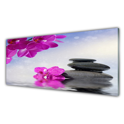Akril üveg kép Orchidea virágok Plant