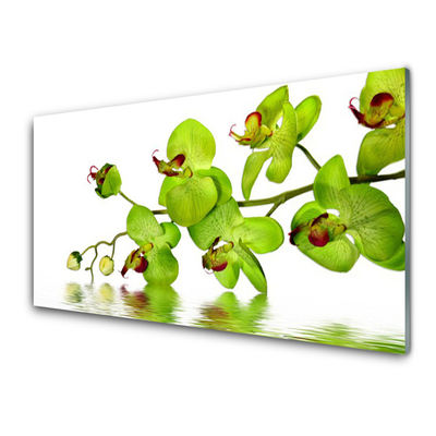 Akrilüveg fotó Virág növény természet