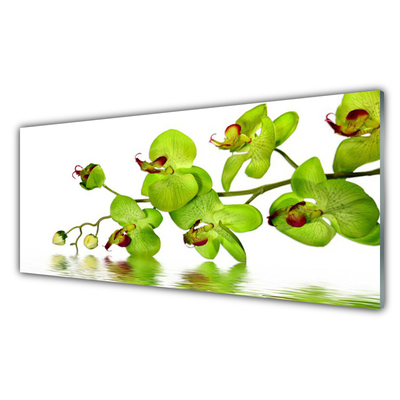 Akrilüveg fotó Virág növény természet
