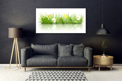 Akrilkép Grass Nature Plant