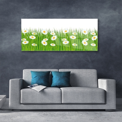 Akrilkép Grass Nature Daisies