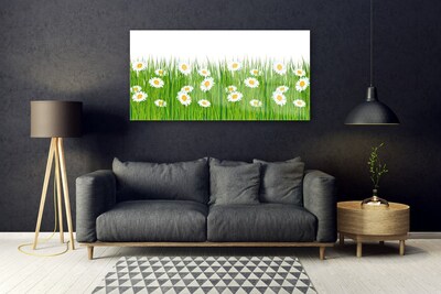 Akrilkép Grass Nature Daisies