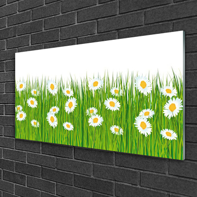 Akrilkép Grass Nature Daisies