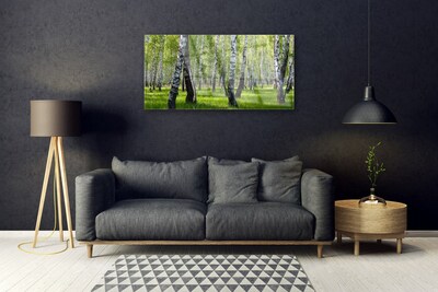 Akrilüveg fotó Erdei fák Természet