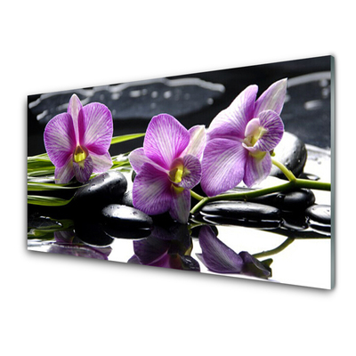 Akrilüveg fotó Virág orchidea növény