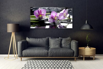 Akrilüveg fotó Virág orchidea növény