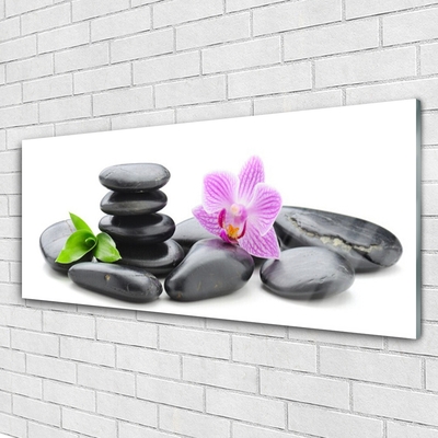 Akril üveg kép Virág Zen kövek