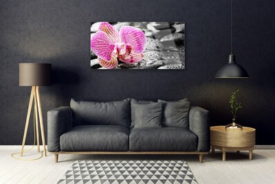 Akrilkép Orchidea virág Stones