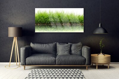 Akrilkép Grass Nature Plant