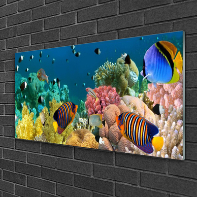 Akril üveg kép Barrier Reef Nature