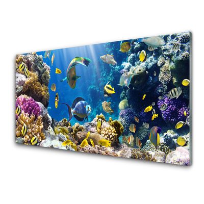 Akril üveg kép Barrier Reef Nature