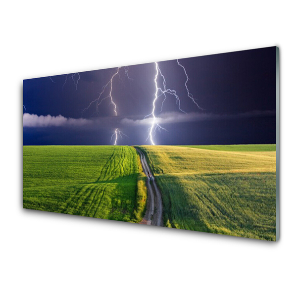 Akrilkép Lightning Field Landscape