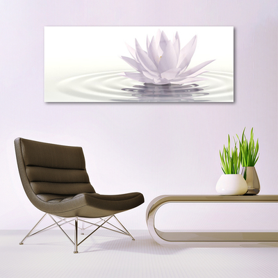 Akrilüveg fotó Virág Víz Art