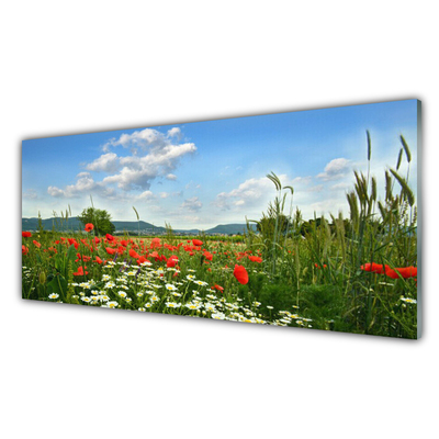 Akril üveg kép Mezei virágok természet Plant