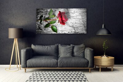 Akril üveg kép Rózsa Virág növény természet