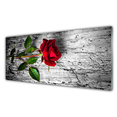 Akril üveg kép Rózsa Virág növény természet