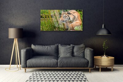 Akrilkép tigris Állatok