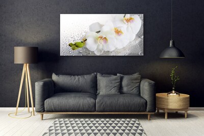Akril üveg kép Virág növény természet