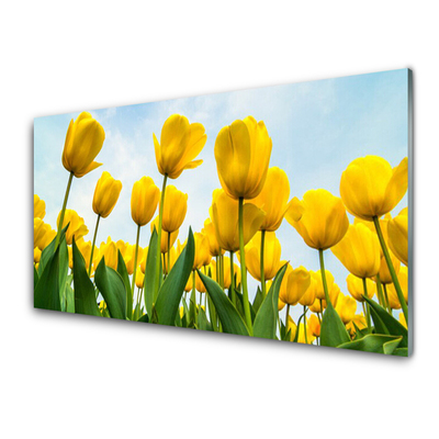 Akril üveg kép Tulipán virágok Plant