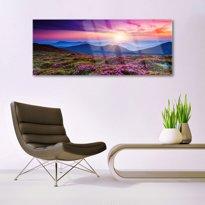 Akril üveg kép Sun Mountain Meadow Landscape