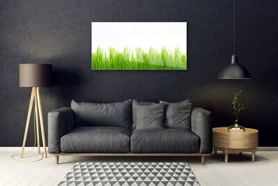 Akrilkép Grass Nature Plant