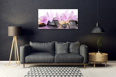 Akril üveg kép Rózsaszín liliom virág