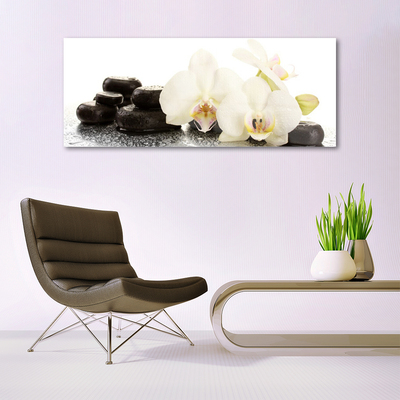 Akrilüveg fotó Fehér orchidea virág