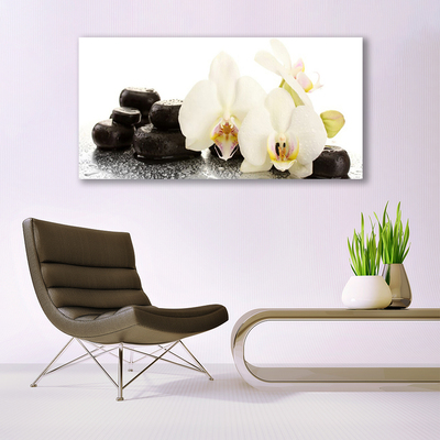 Akrilüveg fotó Fehér orchidea virág