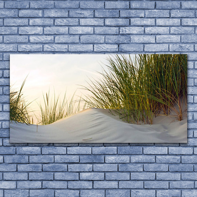 Akrilkép Sand Grass Landscape