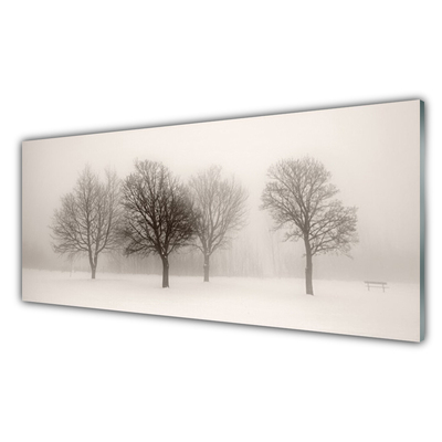 Akrilkép Snow Tájkép fák