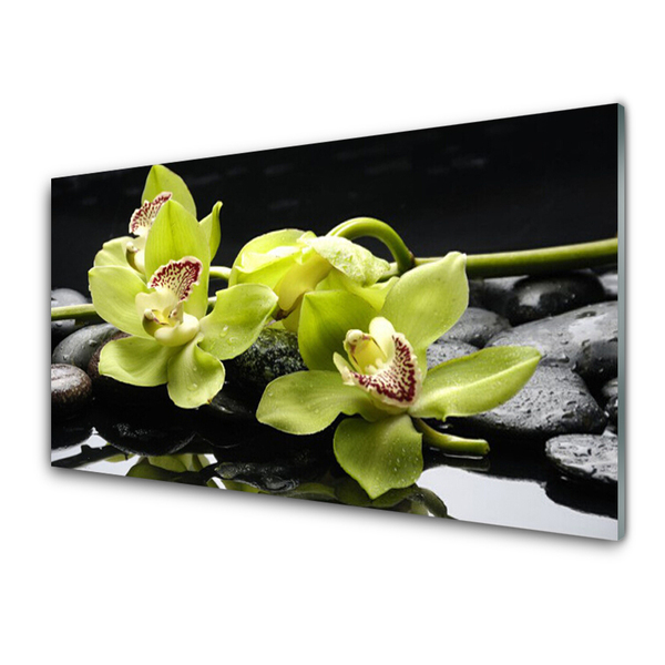Akril üveg kép Virág orchidea növény
