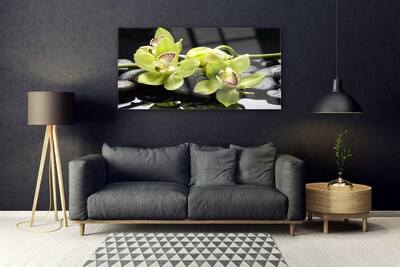 Akril üveg kép Virág orchidea növény