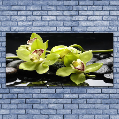 Akril üveg kép Virág orchidea növény